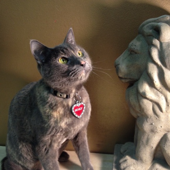 Im LaShae! - Picture 3 of 3